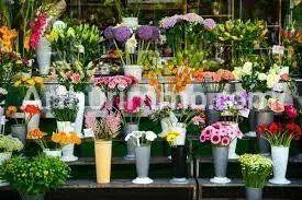 Vente Fonds de commerce à Le Havre