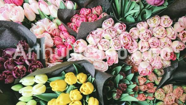 Vente Fonds de commerce à Le Havre