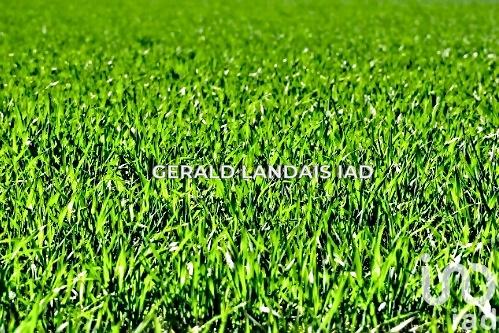 Terrain à vendre 1 610 m² Montgiscard