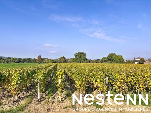 A vendre : Magnifique propriété avec piscine et jardin arboré à CRECHES SUR SAONE