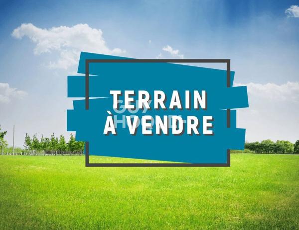 Terrain Periers