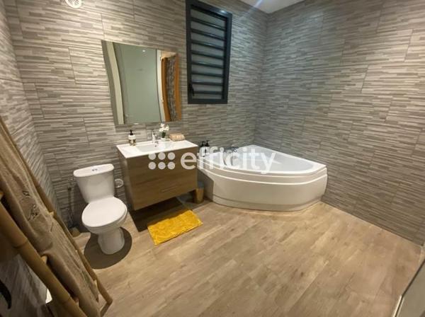 Maison 12 pièces - 301 m² Bien prestige