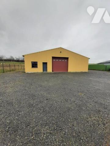 BATIMENT PROFESSIONNEL A VENDRE NOYEN SUR SARTHE