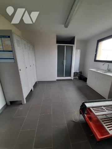 BATIMENT PROFESSIONNEL A VENDRE NOYEN SUR SARTHE