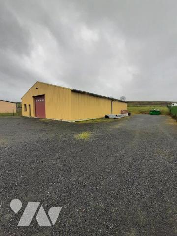 BATIMENT PROFESSIONNEL A VENDRE NOYEN SUR SARTHE