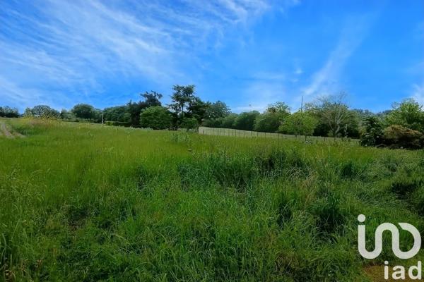 Terrain à vendre 4 623 m² Aureilhan