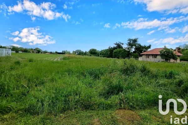 Terrain à vendre 4 623 m² Aureilhan