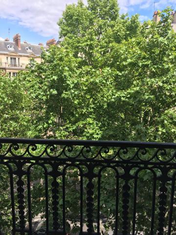 Appartement F7 à vendre  7 pièces - 187 m2 PARIS - 75017