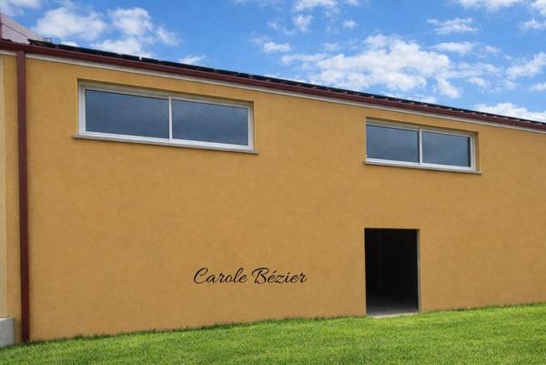 Local Professionnel NEUF