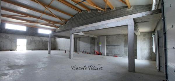 Local Professionnel NEUF