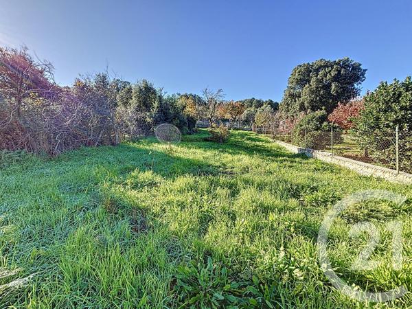 Terrain à vendre  556 m2 PIANA - 201