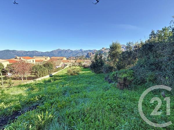 Terrain à vendre  556 m2 PIANA - 201
