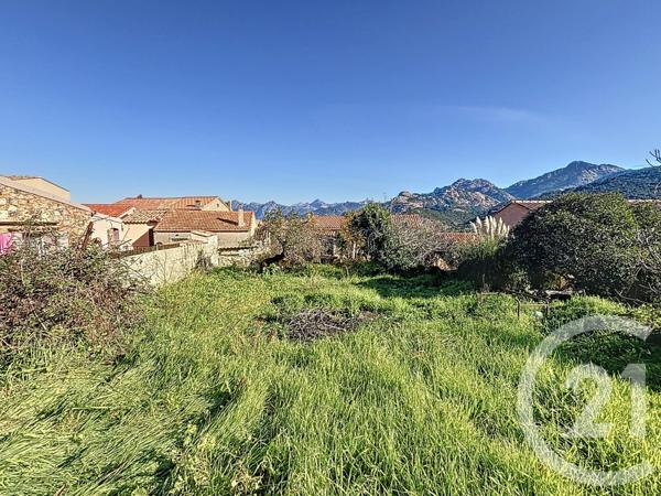 Terrain à vendre  556 m2 PIANA - 201