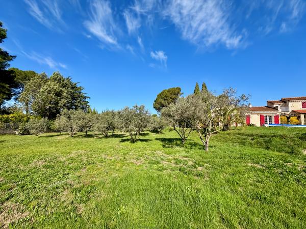 Ventabren (13122) VENTABREN – Maison de charme majoritairement de plain-pied avec piscine sur plus de 6000 m² de terrain