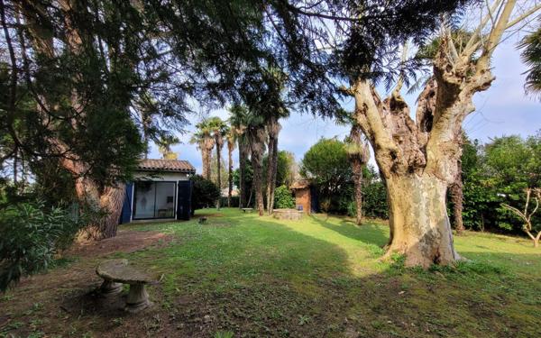 Maison à vendre    9 pièces •  Saint-Geours-de-Maremne