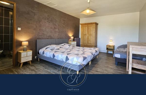 Un havre de paix au cœur des vignes du Layon – Propriété avec gîtes et parc arboré