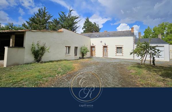 Un havre de paix au cœur des vignes du Layon – Propriété avec gîtes et parc arboré