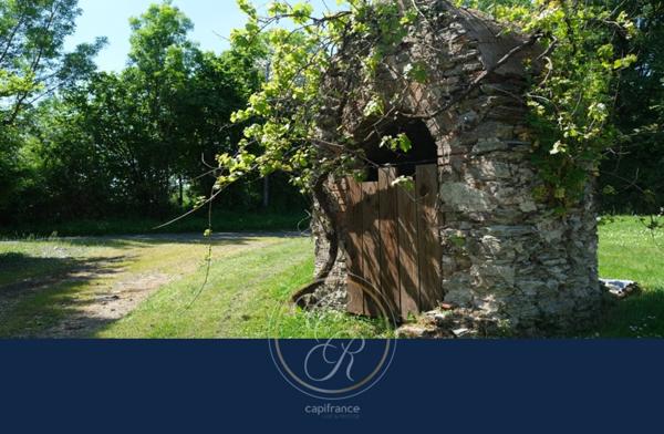 Un havre de paix au cœur des vignes du Layon – Propriété avec gîtes et parc arboré