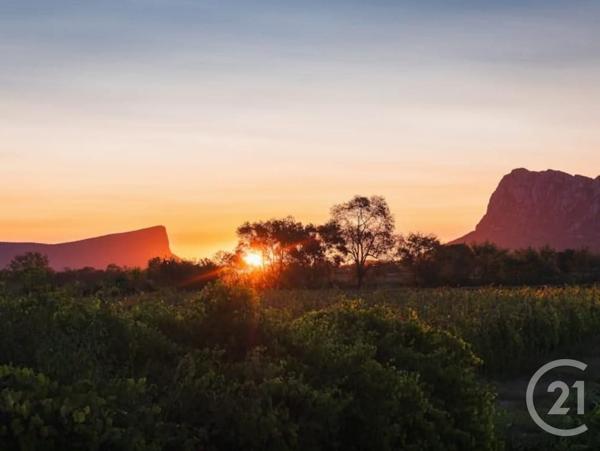 Appartement F2 à vendre  2 pièces - 35,70 m2 ST MATHIEU DE TREVIERS - 34