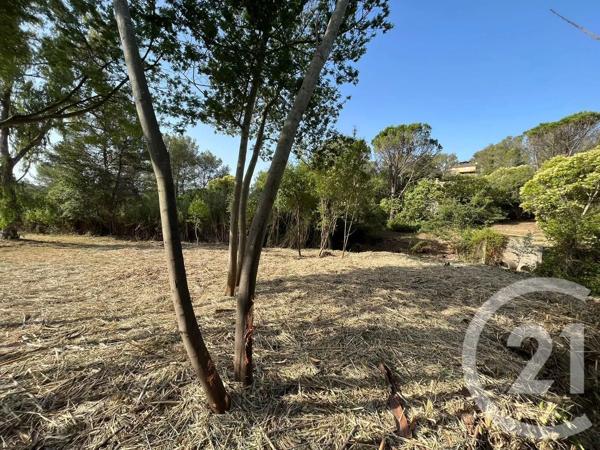 Terrain à vendre  1200 m 2   MOUGINS  - 06