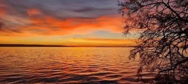 Maison / cabanon estival des années 60 à rénover