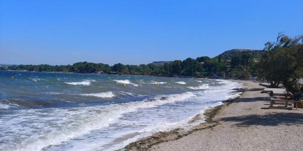 Maison / cabanon estival des années 60 à rénover