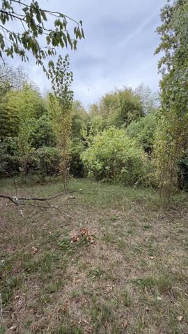 Acheter une maison de 90m2 habitables environ avec grand sous-sol et garage sur un terrain arboré de 1335m2 à Mérignac proche Saint Augustin