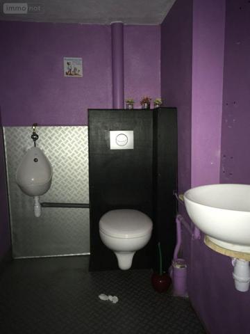 Local mixte (Professionnel/Habitation) à vendre à Saint-James dans la Manche (50240), ref : 12541/1840