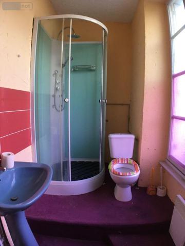 Local mixte (Professionnel/Habitation) à vendre à Saint-James dans la Manche (50240), ref : 12541/1840