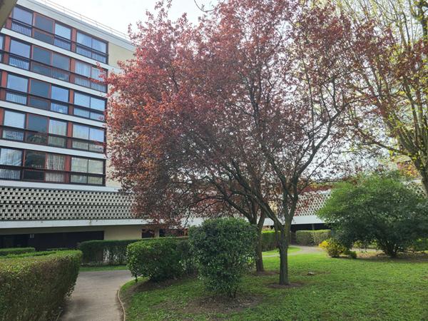 Nouveau Appartement Fontenay Le Fleury 5 /6 pièce(s)
