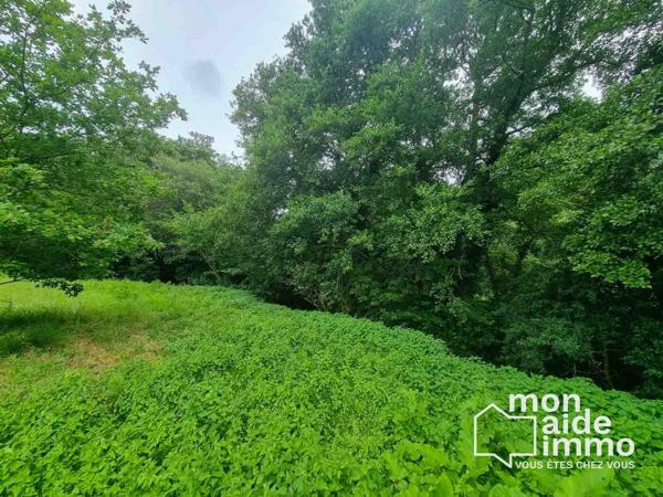 Beau terrain viabilisé et libre constructeur