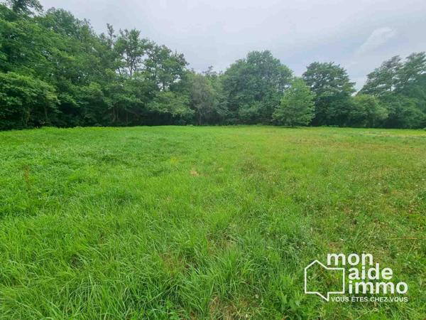 Beau terrain viabilisé et libre constructeur