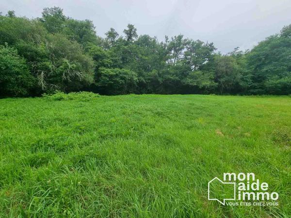 Beau terrain viabilisé et libre constructeur