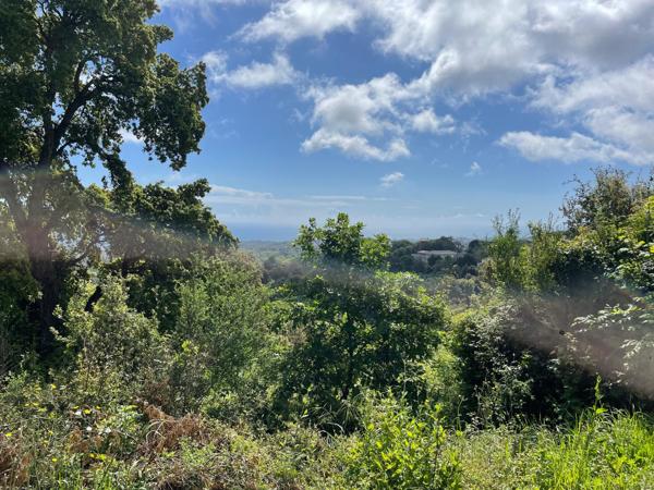 Cervione (20221) Terrain VUE MER à bâtir hors lotissement CERVIONE