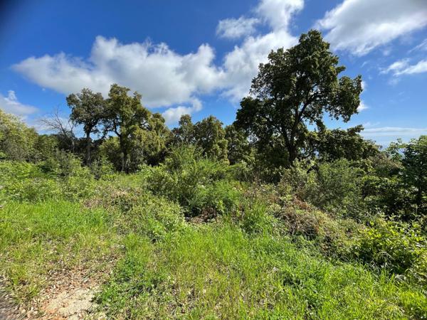 Cervione (20221) Terrain VUE MER à bâtir hors lotissement CERVIONE