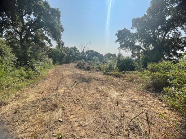 Cervione (20221) Terrain VUE MER à bâtir hors lotissement CERVIONE