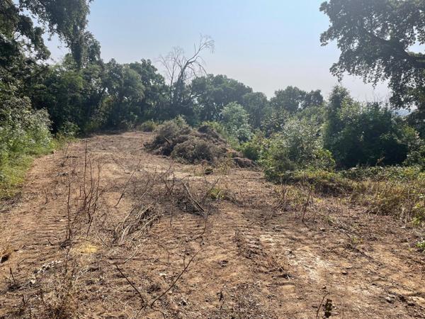 Cervione (20221) Terrain VUE MER à bâtir hors lotissement CERVIONE