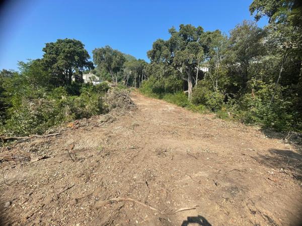 Cervione (20221) Terrain VUE MER à bâtir hors lotissement CERVIONE