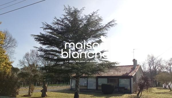 MAISON T4 A LA CAMPAGNE 73M2