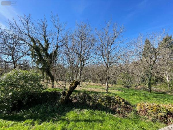 Maison à restaurer à vendre à Sousceyrac-en-Quercy dans le Lot (46190), ref : 46030/MAIS/456