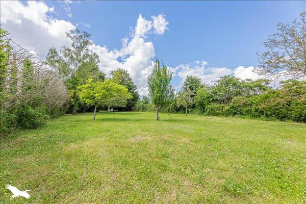 Maison à vendre | Parçay-les-Pins | 6 pièces | 146 m²