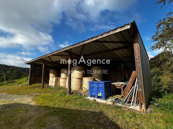 Maison à SAINT-MARTIN-DE-LANDELLES, 50730 - 5 pièces 177m²