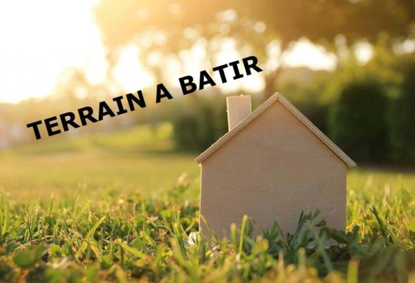 Vente / Terrain