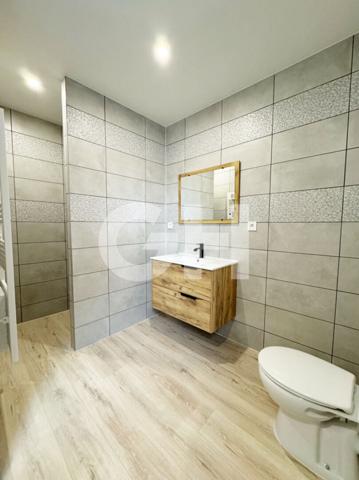 IMMEUBLE DE RAPPORT : UNE MAISON + 3 APPARTEMENTS