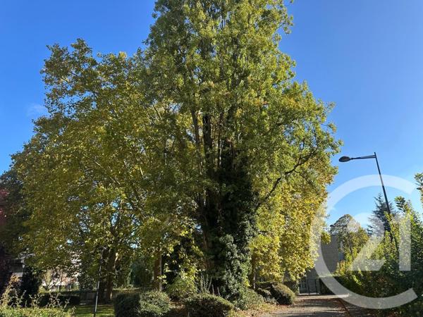 Appartement F4 à vendre  4 pièces - 81,66 m2 FONTENAY SOUS BOIS - 94