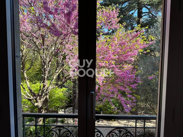 CARCASSONNE - Maison de caractère avec parc arboré au coeur de la ville - Exceptionnel !!