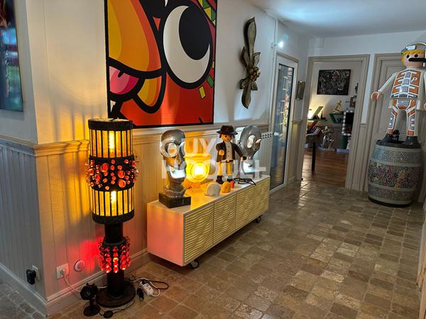 CARCASSONNE - Maison de caractère avec parc arboré au coeur de la ville - Exceptionnel !!