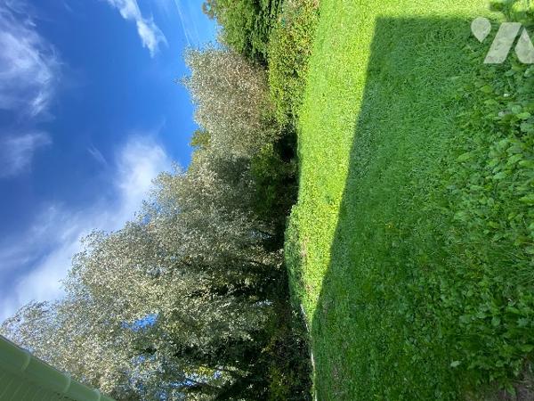 Maison plain pied 87 m2 3 chambres  Terrain 1250 m2