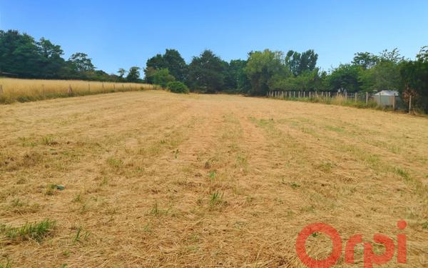 Terrain à vendre    Saint-Amand-Montrond