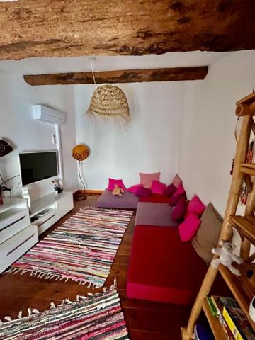 Jolie maison  de village avec  terrasse et garage